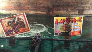 子どもは大喜びです。