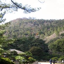 栗林公園の西側と紫雲山の東斜面は一体化しています