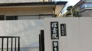 とくに見どころはない