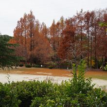 阪今池公園