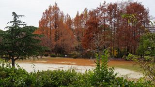 なかなかいい公園です