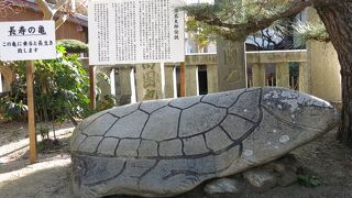 長寿の亀・・・浦島太郎伝説