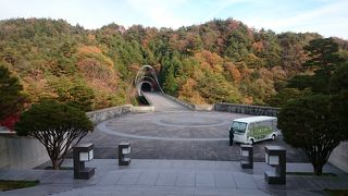 紅葉を楽しみながら芸沭を満喫！