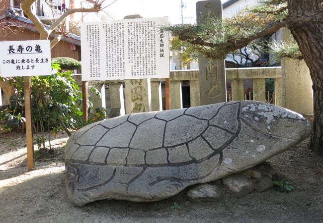 長寿の亀・・・浦島太郎伝説