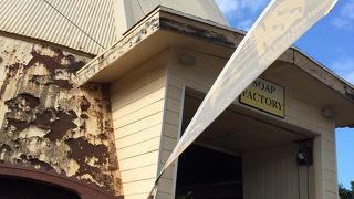 カメが見れなかったので代わりに