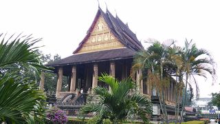 木の根っこも見て下さい