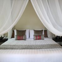 憧れの天蓋つきのベッド