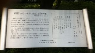 この歌に親しみが増してしまう