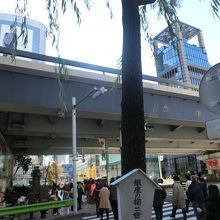 こちらは御門通りの２世