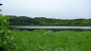 湿原歩きも楽しめます