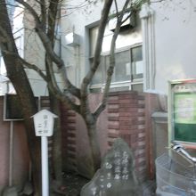 こちらは泰明小前の２世