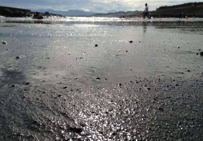 茅ヶ崎市柳島キャンプ場