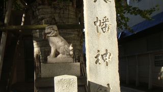 誕生八幡神社のイチョウは品川区指定天然記念物です