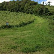 マイナスイオンたっぷりの綺麗な山