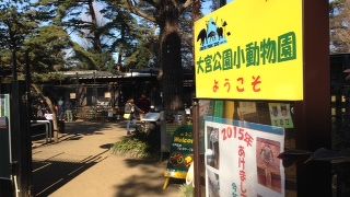 無料だし言うことなし