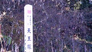 てんのうづかこふん