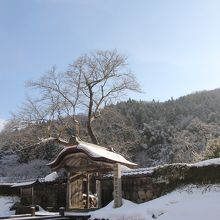 雪の唐門