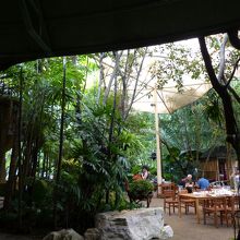 ドームから外部・テラス席写真右側に池之端テラス席