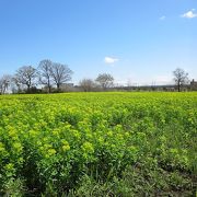 広大な河川敷公園