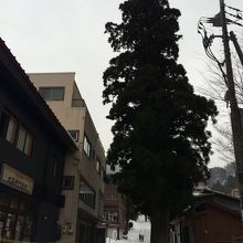 大山寺の参道に土産物屋に並んであります。