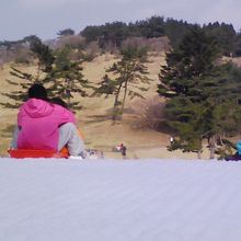 人工スキー場なので、ここだけ雪があります。