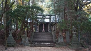 ちょっとした登山のつもりで考えた方がいい神社でしょう。