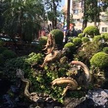 噴水は龍の口から！