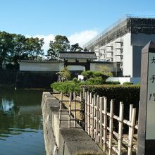 ここから入場します