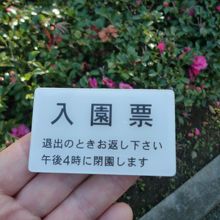 入園券代わりです