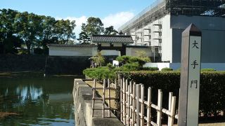 見どころたくさん！