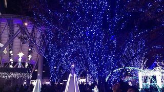 単色使いの大人イルミネーション