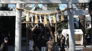 雑司ヶ谷鬼子母神から歩いてすぐの大鳥神社は商売繁盛の恵比寿神を祀った神社で、11月の酉の市ではにぎわっている。