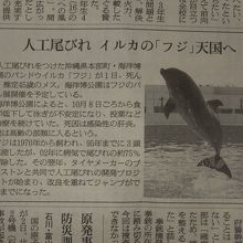 突然の悲しいお知らせが掲載されていた