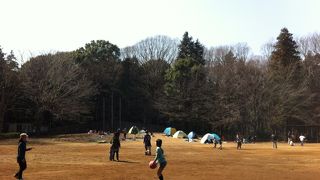 バーベキュー＆アスレチック