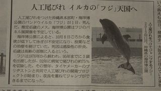 時には悲しいお知らせがあったりします