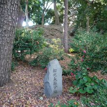 さみしい限りです