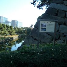 昔は海が見えたそうな・・・