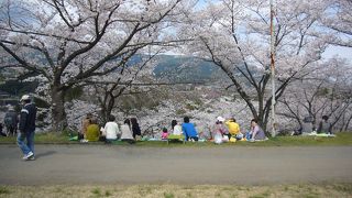 橋本カントリークラブ