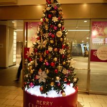 イトシアのクリスマスツリーです