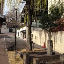 １月なのに柳の青葉があるのは、井戸のおかげか