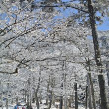 何枚も同じような写真を撮ってしまう