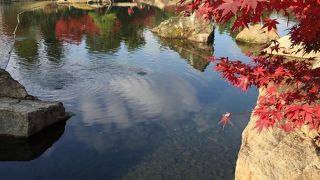 紅葉の時期に初訪問