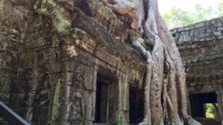 大きな見応えのある寺院