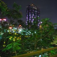 窓からの景色、フォングーラオ通りに面してます。