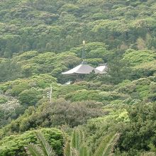 海とは反対方向には金剛福寺が見えるんです