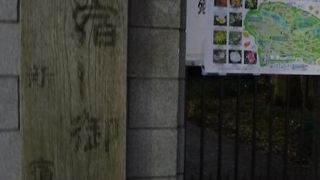 晩秋の光景も乙なもの