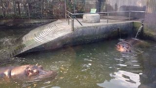 朝一で行けば殆ど独り占め