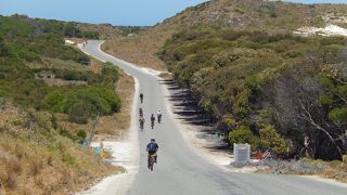 クオッカが愛らしい