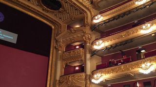 オペラ　マリア・ストゥアルダを鑑賞しました。（H27.1.2）