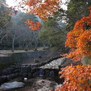 紅葉が綺麗